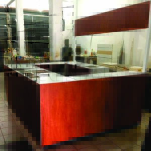 Exhibicion comercial